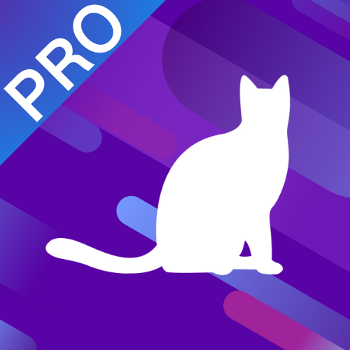 蓝猫VPN